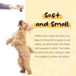 Smarty Pup Salmon Jerky Dog Treats – 5 oz