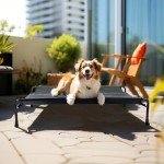 Veehoo Elevated Cooling Bed for Large Dogs