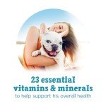 Purina Beneful Small Breed High Protein Wet Dog Food, with Gravy, Incredibites with Real Beef - (Pack of 12) 3 oz. Cans