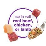 Purina Beneful Wet Dog Food Variety Pack, Chopped Blends - (12) 10 oz. Tubs