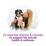 Purina Beneful Wet Dog Food Variety Pack, Chopped Blends - (12) 10 oz. Tubs