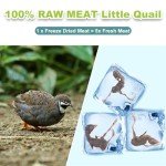 Freeze Dried Dogs Cats Treats - Little Quail Natural Dog Treats Cat Delicious Snacks Training Cat Food Healthy Easy Digestion Pet Food (3 OZ)