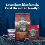Blue Buffalo Wilderness Trail Toppers Wild Cuts Wet Dog Food Variety Pack, High-Protein & Grain-Free, Made with Natural Ingredients, Chicken and Beef Flavors, 3-oz Pouches, (12 Count, 6 of Each)