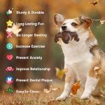 Clawtastic Indestructible-Dog-Toys-for-Aggressive-Chewers - Real Bacon Flavor Durable Tough Dog Bone Chew Toy for Medium/Large Breed Dogs,Dog Toys to Keep Them Busy