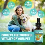 Liquid Collagen for Dogs, Collagen for Dogs, Dog Collagen, Itch Relief for Dogs,Collagen Supplement for Dogs, Supports Joints and Digestive System Health - 2 fl oz