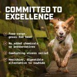 Wild Wolf 12-inch Angus Bully Sticks (8 Ounces) Healthy, All-Natural, Long-Lasting Dog Chew Bones - Odor-Free - Mixed Thickness