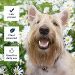 Flea and Tick Spray for Dogs, Cats, and Home - Flea and Tick Killer, Control, Prevention, Treatment - with Natural Essential Oils