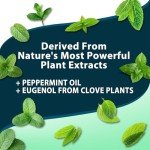 Flea and Tick Spray for Dogs, Cats, and Home - Flea and Tick Killer, Control, Prevention, Treatment - with Natural Essential Oils