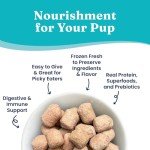 Solid Gold Freeze Dried Dog Food - Made with Real Beef, Pumpkin, and Superfoods - Freeze Dried Raw Dog Food to Serve as a Meal, Food Topper, or Dog Treat - 1.5 OZ