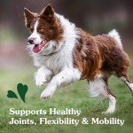 Greenies Supplements Hip and Joint Supplements for Dogs, Chicken Flavor, 16.2 oz., 80-Count Soft Chews Dog Joint Supplements