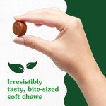 Greenies Supplements Hip and Joint Supplements for Dogs, Chicken Flavor, 16.2 oz., 80-Count Soft Chews Dog Joint Supplements