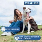 4 Pack Flea and Tick Collar for Dogs- Adjustable Dog Flea and Tick Collar- 32 Months Dog Flea and Tick Treatment - Water Resistant Dog Flea Collars for Puppy Small Medium Large Dog- Red & White