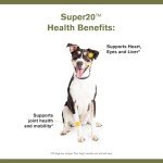 Badlands Ranch - Super20 Canine Supplement Organic Ingredients Multi-Benefit Supplement, Ashwagandha, Help w/Canine Well-Being, Heart, Joint, Vision, Antioxidant Support by Katherine Heigl (30 scoops)