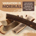 Mighty Paw Split Elk Antlers for Dogs (Sourced in The USA) | 1 Pack, Medium 5”+ Long Lasting Dog Bones for Aggressive Chewers - Naturally Shed Split Deer Antler for Dogs - Low Odor Dog Antler Chews