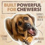 Mighty Paw Split Elk Antlers for Dogs (Sourced in The USA) | 1 Pack, Medium 5”+ Long Lasting Dog Bones for Aggressive Chewers - Naturally Shed Split Deer Antler for Dogs - Low Odor Dog Antler Chews