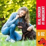 Clifford® Chicken Jerky Dog Treats | Healthy Dog Treats Small Dogs, Medium and Large Dogs | Real Chicken Jerky for Dogs, Grain Free, Rawhide Free Dog Chews - Just Two Ingredients (6oz)