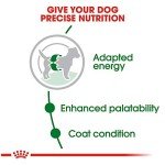 Royal Canin Small Breed Adult Dry Dog Food, 14 lb bag