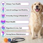 Dog Multivitamin Liquid - 15 in 1 Dog Vitamins Multivitamin, Support Skin & Coat, Heart, Bones and Joint Health, Pet Vitamins and Supplements (2 Fl Oz)