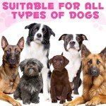 Collagen for Dogs, Liquid Collagen for Dogs Joint Supplements, Helps Aid Hip & Joint Care for Dogs - Improves Mobility Skin and Coat Health, Dog Digestive Aid Bacon Flavor 2 Fl Oz