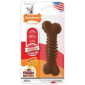 Nylabone Power Chew Textured Bone Chew Toy, Dog Toys for Aggressive Chewers, Flavor Medley, Small/Regular (1 Count)