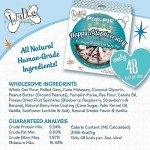 The Lazy Dog Cookie Co. Original Pup-Pie, Happy Adoption Day, Dog Celebration Treat, Gotcha Day, Pre-Sliced into 10 Dog Biscuits, Made in USA, 6 in., 5 oz. (Pack of 1)