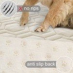Tcksstex Waterproof and Anti-Slip Dog Bed Cover and Pet Blanket Sofa Pet Bed Mat ，car Incontinence Mattress Protectors Furniture Couch Cover for Most Cats Dogs, Pets（52x82-Ivory）