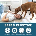 Flea & Tick Collar for Dogs, Flea Collar for Dog, Dog Collar for Large Dogs, Adjustable Dog Ticks Fleas Collars, 8 Months Prevention, Waterproof, Adjustable, 2-Pack