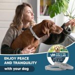 Flea & Tick Collar for Dogs, Flea Collar for Dog, Dog Collar for Large Dogs, Adjustable Dog Ticks Fleas Collars, 8 Months Prevention, Waterproof, Adjustable, 2-Pack