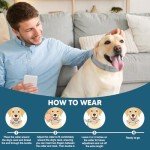 Flea & Tick Collar for Dogs, Flea Collar for Dog, Dog Collar for Large Dogs, Adjustable Dog Ticks Fleas Collars, 8 Months Prevention, Waterproof, Adjustable, 2-Pack