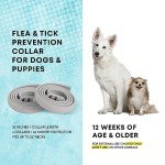 Dog Flea Tick Prevention Collar: Effective Flea Collar and Prevention for Dogs - Safe Dog Ticks Fleas Collars - Reliable Tick Flea Collars for Dogs - 24 Month Protection 4-Pack…