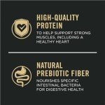 Purina Pro Plan Complete Essentials Shredded Blend Beef and Rice Dog Food Dry Formula with Probiotics for Dogs - 15 lb. Bag