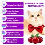 Liquid Multivitamin for Cat, 15 in 1 Cat Multivitamin Liquid Drops Supplements for Skin & Coat, Heart Health, Bones and Joint, Cat Vitamins with Glucosamine and MSM, Immune System Support -60ml