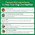 New Flex TrueCanine Dog Joint and Hip Supplement - All Natural Dog Joint Supplement with Green Lipped Mussel, MSM, DHA & Collagen for Dogs, Joint Supplement for Dogs - Chicken Flavor, 2oz Powder