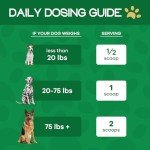 New Flex TrueCanine Dog Joint and Hip Supplement - All Natural Dog Joint Supplement with Green Lipped Mussel, MSM, DHA & Collagen for Dogs, Joint Supplement for Dogs - Chicken Flavor, 2oz Powder