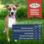 Primal Antlers for Dogs - Grade A Split Elk Antlers for Small Dogs up to 15 lb - Natural Dog Chews for Aggressive Chewers - Naturally Shed Antlers - Long Lasting Dog Bones - 1 ct