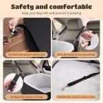 Nobleza Dog Car Seat, Warm Elavated Dog Booster Sofa Seat Non-Slip Travel Bed for Car Truck SUV with Adjustable Safety Buckle Storage Pockets, Washable Detachable Elevated for Small Medium Pet Outing