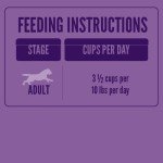 A Strong Heart Wet Dog Food Cups, Porterhouse Steak Flavor - 3.5 oz Cups (Pack of 12), Made in The USA with Real Beef