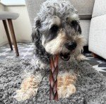 AZRAPAWS Braided Bully Sticks for Medium Dogs & Large Dogs, 5-6 Inch 5 Pcs Beef Collagen Dog Chews Bully Stick Long Lasting, Single Ingredient Dog Bones Treats