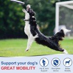 ColEaze Glucosamine for Dogs 200 Count Joint Supplement for Puppy's and Senior's with Chondroitin MSM Turmeric Lamb Flavor