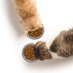 letesult 300PCS Disposable Cat Food Bowls & 2PCS Stainless Steel Cat Bowls - Pets Disposable Feeding Bowls Small Paper Cat Plates for Wet Food Disposable Bowls for Cat Dog Feeding Station