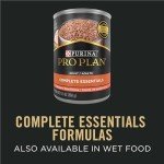 Purina Pro Plan Complete Essentials Shredded Blend Chicken and Rice Dog Food Dry Formula with Probiotics for Dogs - 5 lb.
