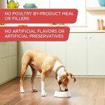 Rachael Ray Nutrish Gentle Digestion Wet Dog Food, Real Chicken, Pumpkin & Salmon, 13 Ounce Can (Pack of 12)