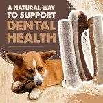 Mighty Paw Split Elk Antlers for Dogs (Sourced in The USA) | 1 Pack, Large 7"+ Long Lasting Bones for Aggressive Chewers - Naturally Shed Split Deer Antler for Dogs - Low Odor Chews