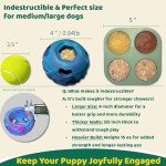 5-in-1 Dog Toys to Keep Them Busy, Bite n Brush Enrichment Toys for Dogs, Best Dog Boredom Toys, DIY Frozen Toys & Freeze Bone for Dogs, Chew Toys for Large Dogs, Extremely Durable Natural Rubber Toy