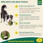 5-in-1 Dog Toys to Keep Them Busy, Bite n Brush Enrichment Toys for Dogs, Best Dog Boredom Toys, DIY Frozen Toys & Freeze Bone for Dogs, Chew Toys for Large Dogs, Extremely Durable Natural Rubber Toy