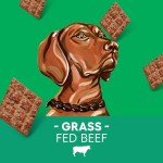 Newman's Own Jerky Treats for Dogs - Original Beef Recipe - 5 oz - 6 Pack - Treats Dogs - Made with Grass Fed Beef - High in Protein