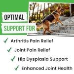 Glucosamine for Dogs - Joints Health Treats w/Omega Fish Oil - Natural Joint Pain Relief - Canine Hip and Joint Supplement w/Chondroitin + MSM + Turmeric + Calcium - 120 Beef Chews