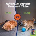 YoYoBay Flea and Tick Prevention for Cats Chewable - 180 Soft Chews, Salmon & Blueberry Flavor - Cats Flea and Tick Treatment Chewable, Natural Defense - Cats Immune Support Supplement