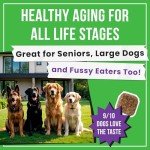 Glucosamine for Dogs - Joints Health Treats w/Omega Fish Oil - Natural Joint Pain Relief - Canine Hip and Joint Supplement w/Chondroitin + MSM + Turmeric + Calcium - 120 Beef Chews