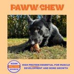 Paww Chew Knee Caps for Dogs, 100% Natural, Single Ingredient (12 Pack) Made and Sourced in the USA, High Protein, Grass-Fed Beef Knee Caps & Knuckle Bones, Long Lasting Cow Knee Caps, Meaty Dog Bones